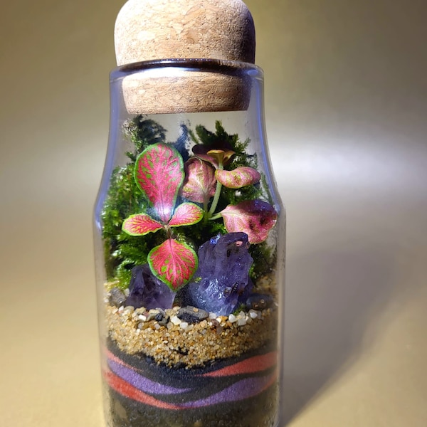 Terrarium Etsy UK