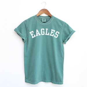 Camisa Comfort Colors Eagles, camiseta Eagles, camiseta Vintage Eagles, linda camisa Eagles, camisetas Eagles, camisetas Eagles unisex
