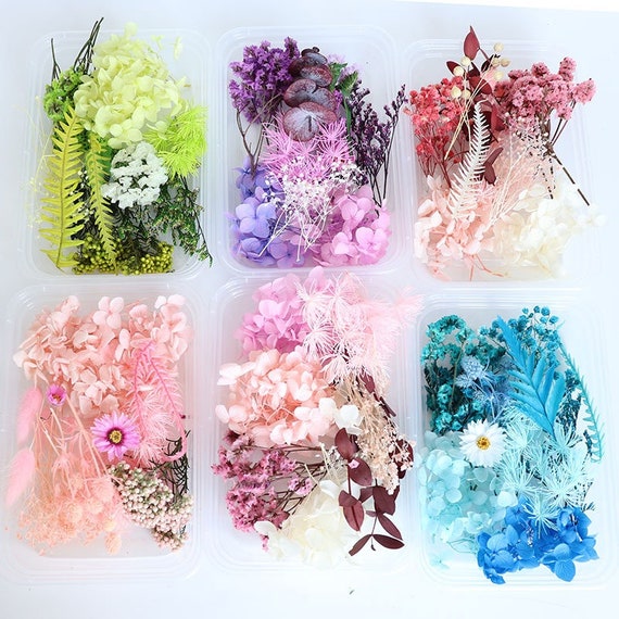 Real Dried Flower for Aromatherapy Candle DIY Epoxy Resin Craft Dried Plants, White