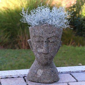 Può includere: Un vaso di pietra grigia a forma di testa umana con una pianta grigio argento che cresce dalla cima.