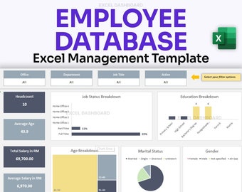 Panel y base de datos avanzados de Excel para empleados / Gestión y análisis de recursos humanos / Excel editable