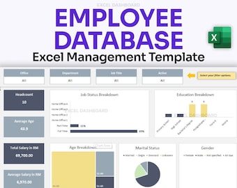 Advanced Employee Excel Database and Dashboard | HR Management & Analytics | Excel Editable