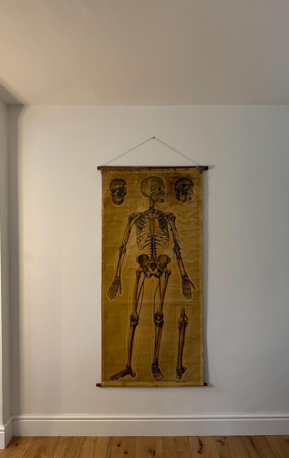 A Large St Johns Ambulance Anatomical Poster, 'Pressure Points & Blood Flow' by J.Teck, Circa 1940s
