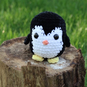 Pebbles the Penguin