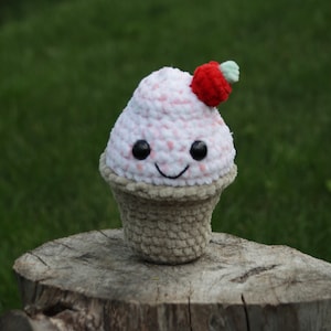 Scoops the Ice Cream Cone