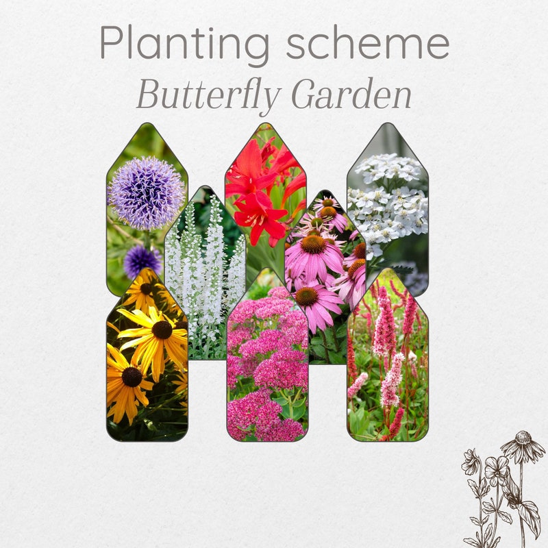 Pre Planned Garden Design Etsy Pre Planned Garden Design Etsy