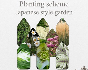 Japanese style zen landschape scheme japan garden design plan blueprint pre planned do it yourself  perennial front backyard planner idea
