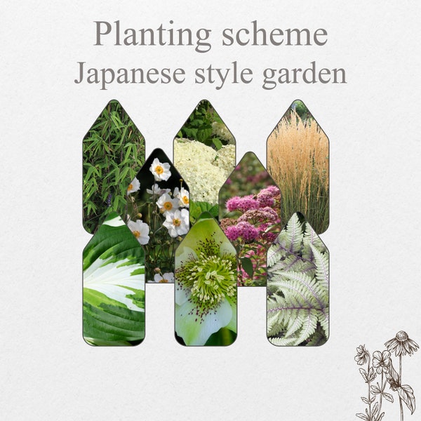 Japanese style zen landschape scheme japan garden design plan blueprint pre planned do it yourself  perennial front backyard planner idea