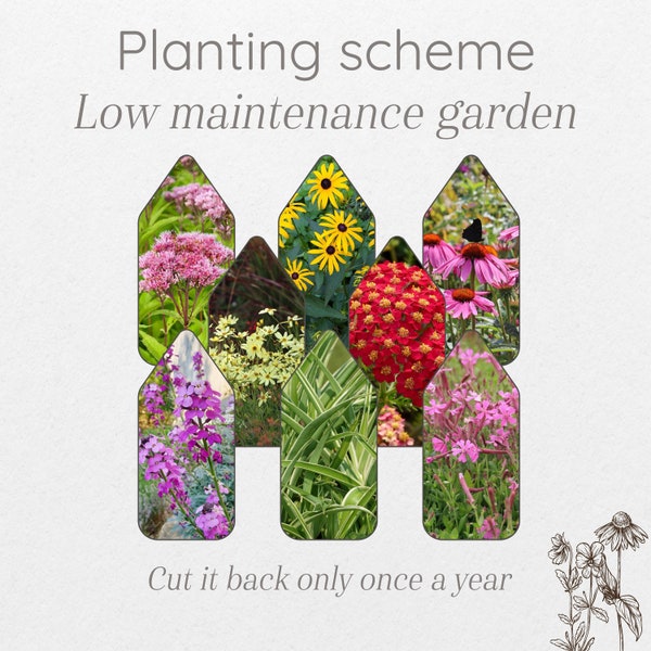 Digital garden planting scheme for low maintenance perennial easy care yard pre planned garden planner flower bed effortless trouble free