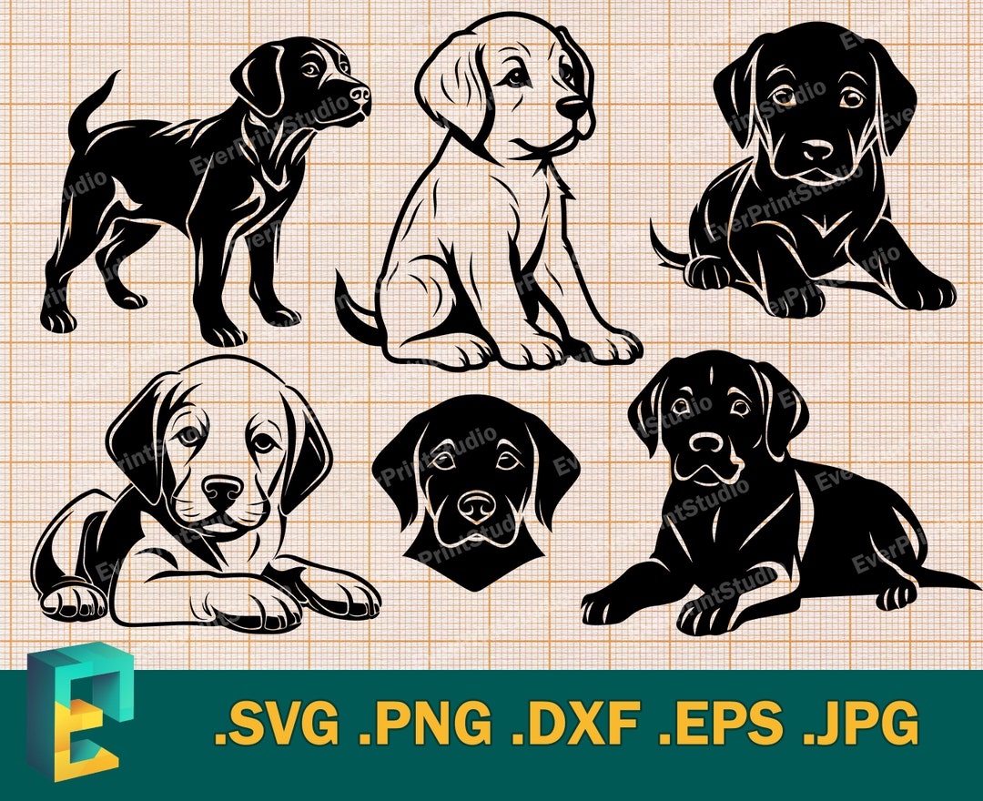 Lab Pit Mix Svg Labrador Retriever Puppy SVG - Cricut, Silhouette | Vector Cute Puppy ...
