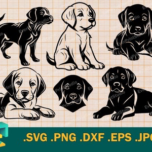 Labrador Retriever Puppy SVG - Cricut, Silhouette | Vector Cute Puppy Bundle SVG Cut File | Download Dog Puppies Set SVG - Clip Art Logo