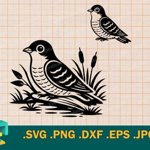 Common Cuckoo SVG - Cricut, Silhouette | Vector Happy Cuckoo Bird SVG Cut File  - Download svg, png, eps, dxf
