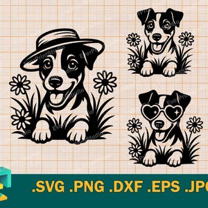 Può includere: Tre illustrazioni in bianco e nero di Jack Russell Terrier. La prima immagine mostra un Jack Russell con un cappello e circondato da fiori. La seconda immagine mostra un Jack Russell con un'espressione neutra. La terza immagine mostra un Jack Russell con occhiali da sole e circondato da fiori.