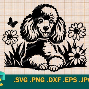 Caniche fofo SVG - Cricut, Silhueta | Vector Toy Poodle filhote de cachorro SVG, modelo de cachorro poodle miniatura para máquinas de corte svg, png, eps, dxf