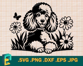 Cute Poodle SVG - Cricut, Silhouette | Vector Toy Poodle puppy SVG, Miniature Poodle Dog Template for Cutting Machines  svg, png, eps, dxf