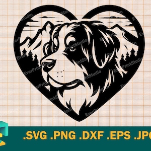 Berner Sennenhund SVG - Cricut, Silhouette | Schweizer Sennenhund SVG-Schnittdatei. Vorlage zum Schneiden von svg, png, eps, dxf