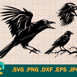 Raven SVG - Cricut, Silhouette | Vector Design Raven Cut File | Raven Cutting File | Raven Template for Cutting Download svg, png, eps, dxf