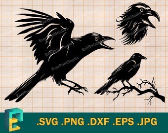 Raven SVG - Cricut, Silhouette | Vector Design Raven Cut File | Raven Cutting File | Raven Template for Cutting Download svg, png, eps, dxf