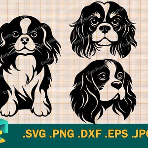 Cavalier King Charles Spaniel SVG - Cricut, Silhouette / Vettore Carino Spaniel Cane File di taglio per macchina da taglio Scarica svg, png, eps, dxf