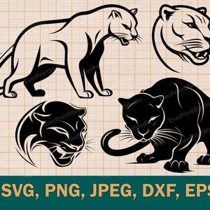 Panther Bundle Svg, Black and White Panthers Svg, Panthers Clipart, Panther Svg, Panther Head Cut File, Download