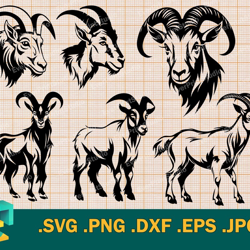 Vector Show Goat Show Goat Clip Art - Etsy