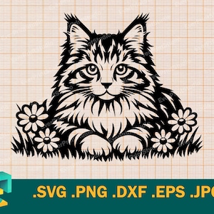 Maine Coon Kitten SVG - Cricut, Silhouette | Vetor American Longhair, American Coon Cat SVG Arquivo de corte Download Imprimível svg, png, eps, dxf