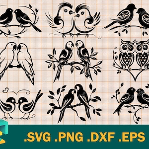 Paquete SVG de pájaros del amor: Cricut, Silhouette / Pájaros lindos SVG / Plantilla vectorial de pájaros del amor para cortar, descargar, svg, eps, png, dxf