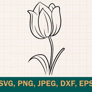 May include: A black and white line drawing of a single tulip with a stem and leaves.