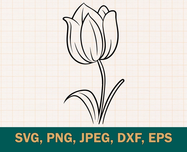 May include: A black and white line drawing of a single tulip with a stem and leaves.