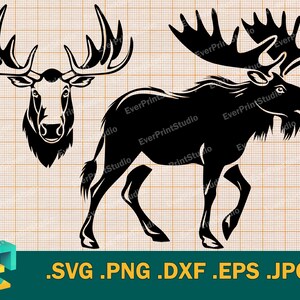 Moose SVG - Cricut, Silhouette | Vector Moose Cut File for Cricut | Clipart Moose Head, Moose Download Clip Art Logo, svg, png, eps, dxf