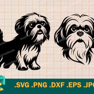 Shih Tzu SVG - Cricut, silueta / diseño artístico vectorial Archivo de corte de Shih Tzu / Descarga de gráficos de Shih Tzu imprimibles, logotipo de clip art digital