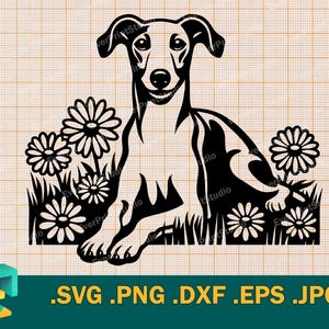 File di taglio SVG Whippet per Cricut, Silhouette / Vector Greyhound SVG Template per macchine da taglio, simpatico cane Whippet svg, png, eps, dxf