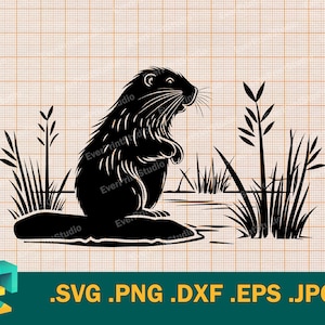 Beaver SVG - Cricut, Silhouette |  Beaver on the pond Cut File | Download Printable Vector  Beaver Cutting File | Clip Art png, svg, dxf
