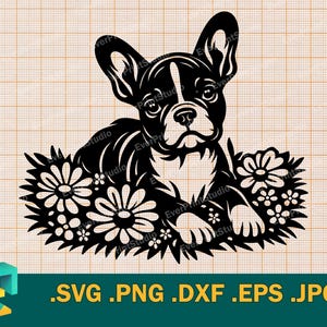 Französische Bulldogge SVG - Cricut und Silhouette | Bulldogge Welpen SVG-Schnittdatei | Bulldogge Welpen Schneidedatei svg Vorlage, png, eps, dxf