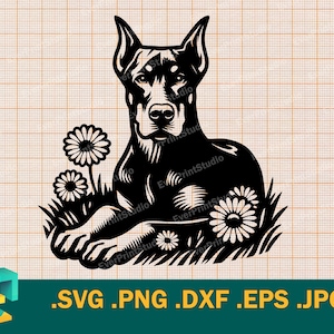 Doberman SVG - Cricut, Silueta / Vector Artístico Doberman Cortar Archivo Descargar Doberman Imprimible para Máquinas de Corte svg, png, eps, dxf