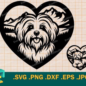 Maltese hond SVG - Cricut, silhouet | Vector schattig Maltees gesneden SVG-bestand | Maltese puppy downloadsjabloon voor snijden svg, png, eps, dxf