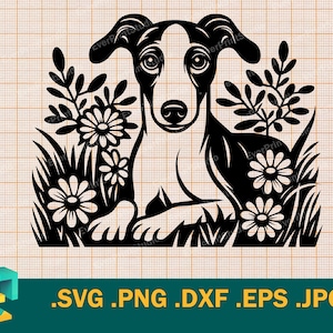 File di taglio SVG per cucciolo di Whippet per Cricut, Silhouette / Vector Greyhound SVG Template per macchine da taglio, cane Whippet svg, png, eps, dxf