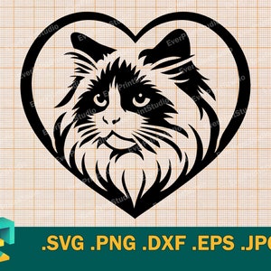 Chat Ragdoll SVG - Cricut, Silhouette | Fichier vectoriel Ragdoll Fluffy Cat | Téléchargement imprimable Chaton Ragdoll svg, png, eps, dxf