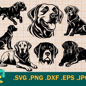 Labrador Retriever SVG - Cricut, Silhouette | Vector Dog Labrador Retriever Bundle SVG Cut File | Download Dog Labrador Set - Clip Art Logo