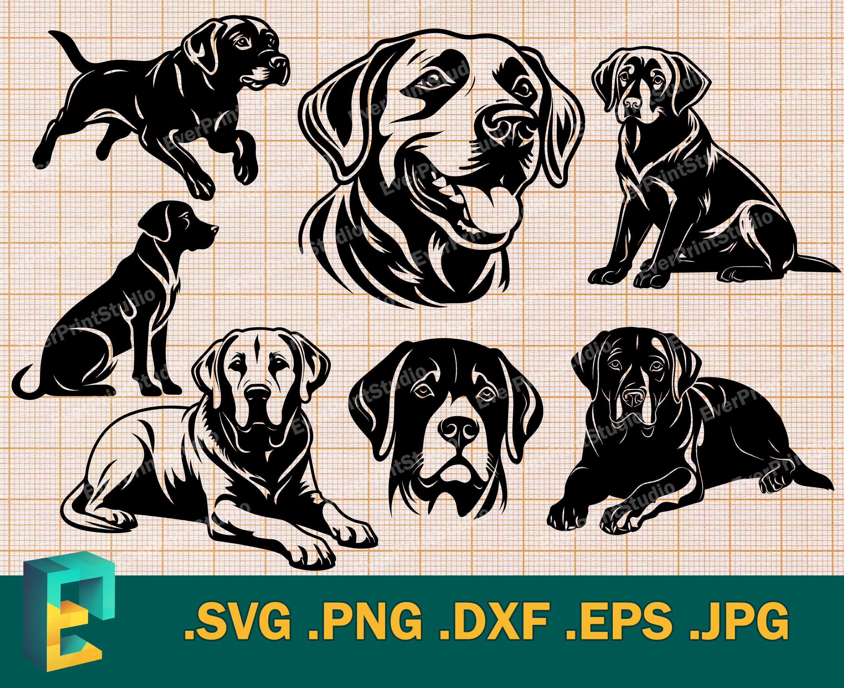 Labrador Retriever SVG - Cricut, Silhouette | Vector Dog Labrador ...