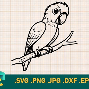 Parrot SVG - Design for Cricut & Silhouette, Parrot on a branch Printable Clipart, Instant Download File in svg, eps, dxf, png, jpg