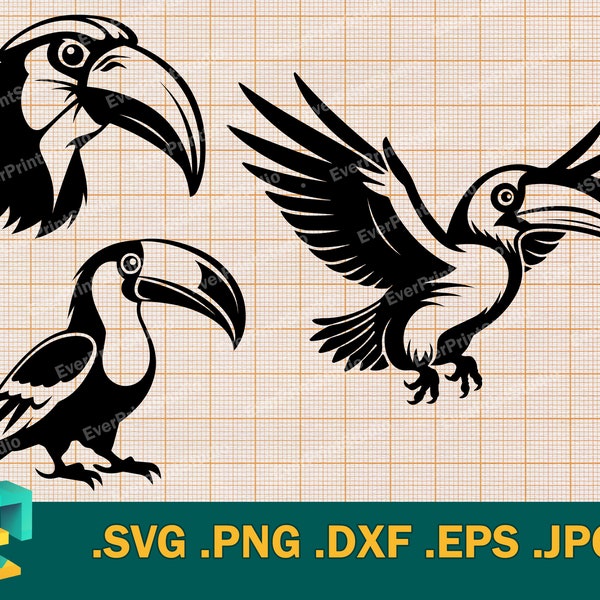 Toucan SVG Bundle - Cricut, Silhouette | Vector Design Toucan Bird Cut File | Download Clipart Toucan Clip Art Logo, svg, png, eps, dxf