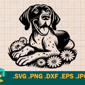 Puede incluir: Ilustración en blanco y negro de un perro Braco Alemán de Pelo Corto acostado con la lengua fuera. El perro está rodeado de flores.