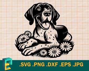 German Shorthaired Pointer SVG - Cricut, Silhouette | Vector German Pointer Dog SVG Cut file |  Shorthaired Pointer  svg, png, eps, dxf