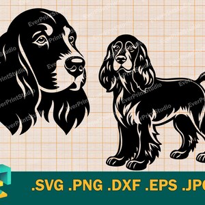 May include: Two black and white illustrations of a Springer Spaniel dog. One image is a head shot of the dog, and the other image is a full body shot of the dog standing with its tail curled.