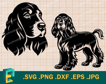 American Cocker Spaniel SVG - Cricut, Silhouette |  Vector Cute Cocker Spaniel Dog Cut File for Cutting Machine, svg, png, eps, dxf