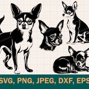 Chihuahua Bundle SVG, süße Chihuahua Silhouette für Cricut, Einzigartiger Chihuahua Logo Vektor, Clipart Printable - Download, dxf, eps, png, svg
