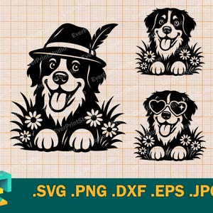 Berner Sennenhund SVG - Cricut, Silhouette | Vektor Berner Sennenhund SVG, Schweizer Sennenhund. Vorlage zum Schneiden von svg, png, eps, dxf