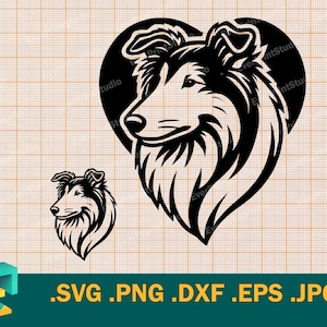 Collie SVG - Cricut, Silhouette | Vector Collie Dog Cut file | Download Border Collie, Lassie dog, Template for Cutting svg, png, eps, dxf