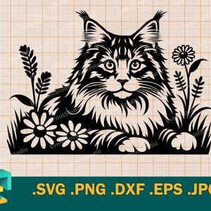 Maine Coon SVG - Cricut, Silhouette | Arquivo de corte SVG de gato Maine Coon vetorial | Baixe o modelo de gato Maine fofo para impressão svg, png, eps, dxf